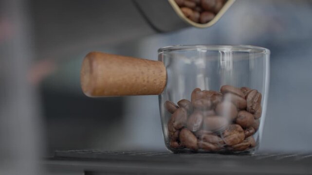 Coffee beans fall into transparent cup on kitchen scale. Concept of coffee preparation and measuring ingredients