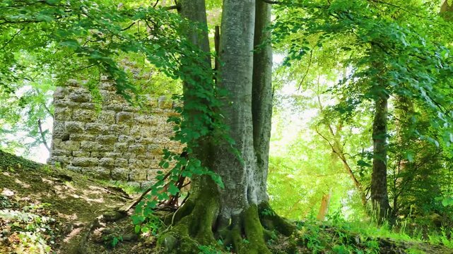 Historischer R&ouml;merturm inmitten eines dichten, gr&uuml;nen Waldst&uuml;cks, umgeben von weiten Feldern und Wiesen in einer idyllischen l&auml;ndlichen Landschaft aus der Vogelperspektive fotografiert.
