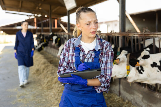Farmer woman in a blue jumpsuit holds a tablet in her hands and takes notes, she keeps records on the farm.