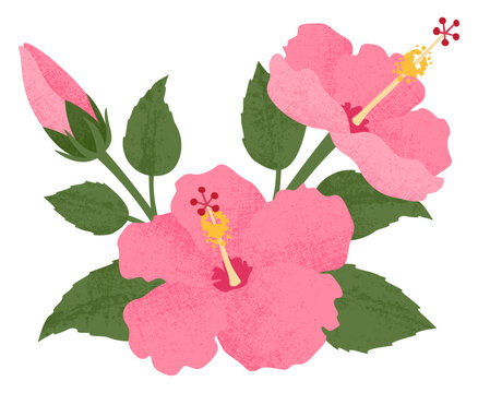 Isolated pink hibiscus, in a cut paper style with textures
