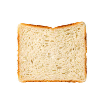Slice of white bread with golden brown edges and open crumb isolated on transparent background png