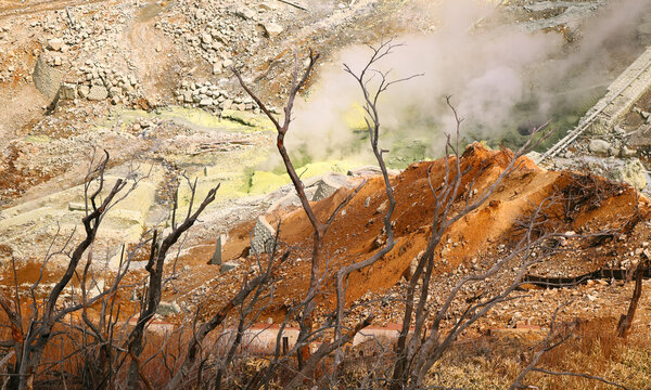 Owakudani: Sulphur vents, dead trees and hot springs in the  volcanic great boiling valley in Hakoni, Japan