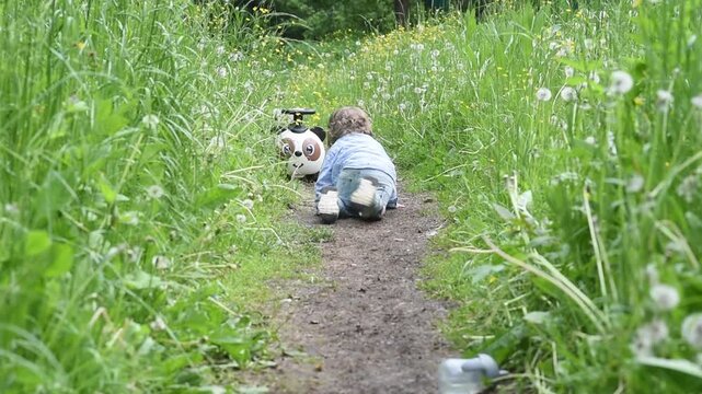 Toddler boy crawling on forest path to panda toy car