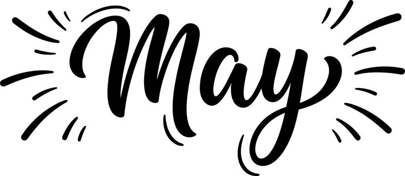 May hand lettered calligraphy wordmark silhouette isolated on transparent background for spring celebrations and seasonal designs