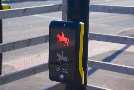 Pegasus/Equestrian Crossing UK
