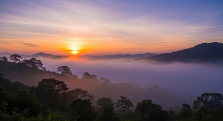 Naklejka premium Misty Mountain Sunrise Over Lush Green Forest Canopy.