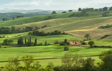 Naklejka premium Traditional farmhouse among rolling green hills in Tuscany, Italy