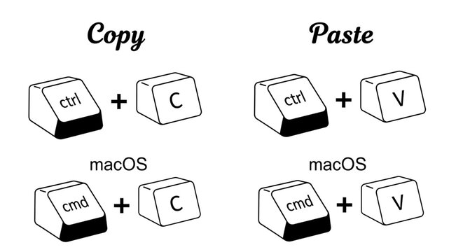 Learn the fundamental keyboard combinations for efficient data duplication and information transfer across various computer operating systems, enhancing productivity in digital tasks