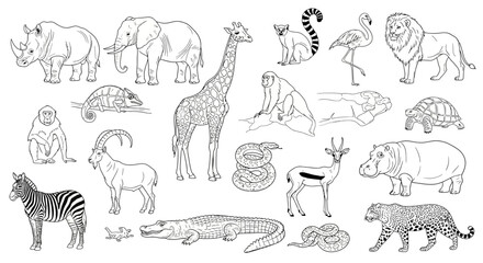 Detailed Black and White Line Art Collection Featuring Various Wild Animals and Exotic Creatures for Coloring Pages © Awais