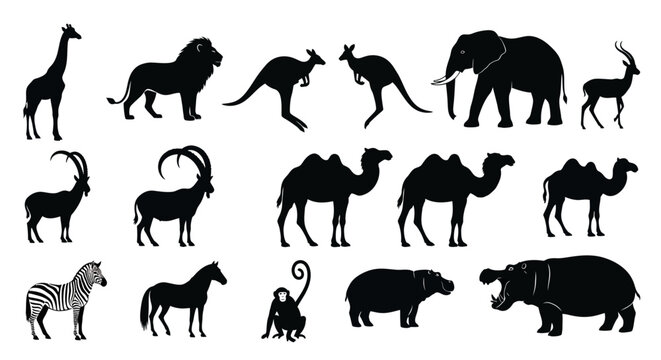 Black silhouettes of diverse wild animals including giraffe lion elephant kangaroo zebra monkey hippo