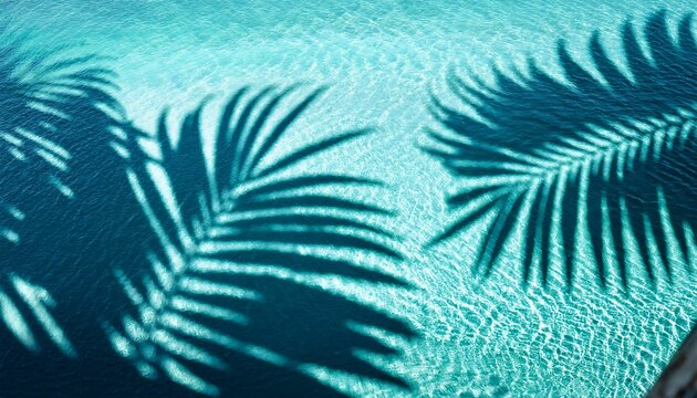 palm leaf shadow from above over transparent water surface with sunlight reflection topview abstract background for travel beach vacation and wellbeing