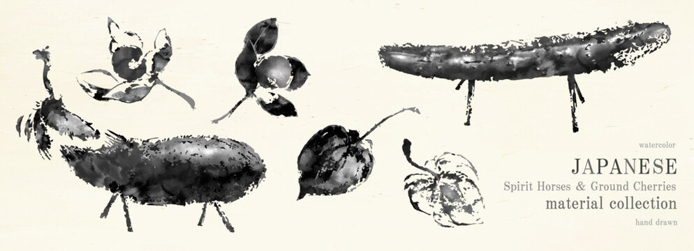 日本の伝統行事「お盆」の水墨画調の精霊馬、鬼灯、蓮の葉の和風カットイラスト詰め合わせ。/ベクター
