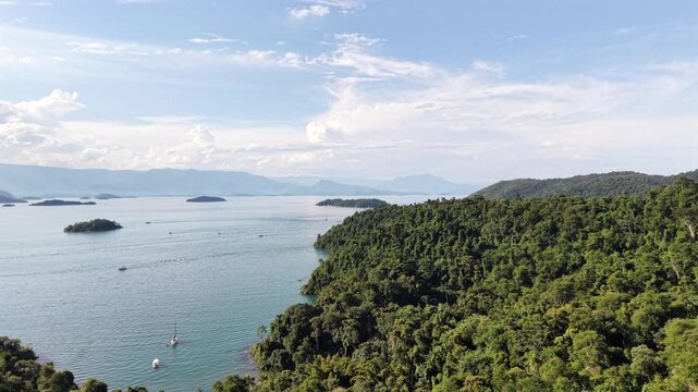 Dense Forest Ridge and Coastline Aerial Shot