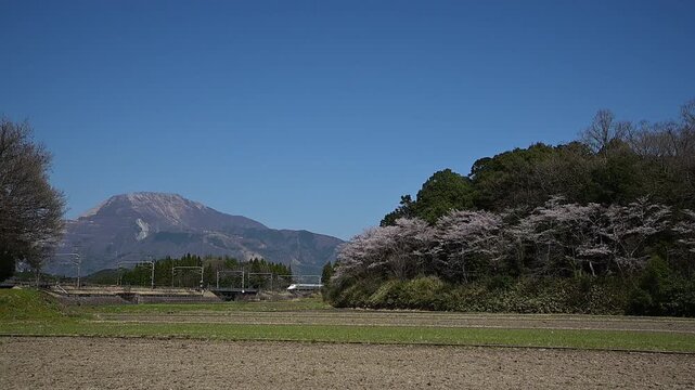 桜咲く伊吹山麓を走る東海道新幹線N700A（東海道新幹線 岐阜羽島 - 米原, 2026年4月）