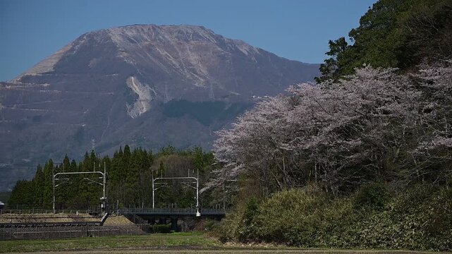 桜咲く伊吹山麓を走る東海道新幹線N700A（東海道新幹線 岐阜羽島 - 米原, 2026年4月）