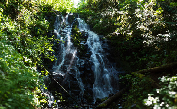 waterfall in oregon forest 