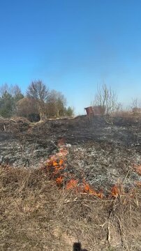 Middle phase of rural grassland burn during dry summer showing advancing low-intensity flame front moving left-to-right across foreground and midground, consuming dead brown grass
