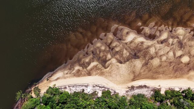 Drone Shot of Lush Forest Edge and Sandy Beach