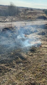 Middle phase of rural grassland burn during dry summer showing advancing low-intensity flame front moving left-to-right across foreground and midground, consuming dead brown grass
