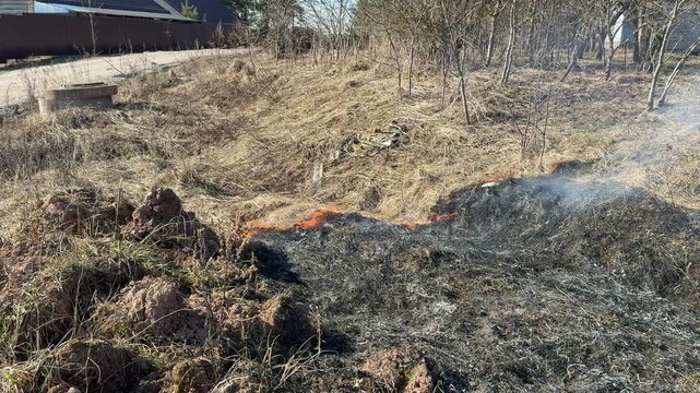 Middle phase of rural grassland burn during dry summer showing advancing low-intensity flame front moving left-to-right across foreground and midground, consuming dead brown grass