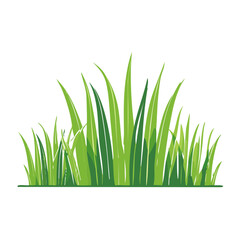 Fototapeta premium Flat design green grass illustration