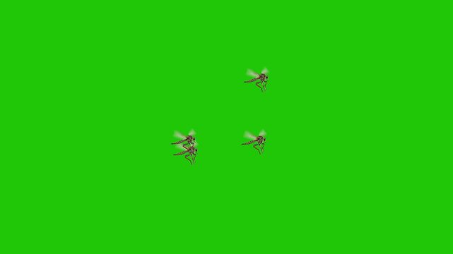 Multiple Midges Flying on Green Screen Background &ndash; Swarm of Tiny Insects Isolated for Chroma Key and Visual Effects