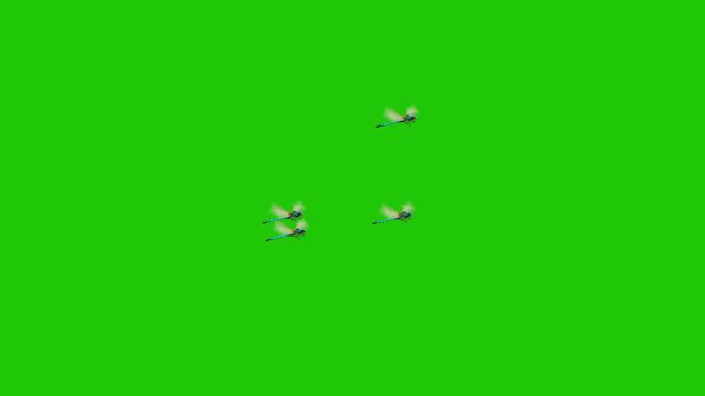 Multiple Dragonflies Flying on Green Screen Background &ndash; Isolated Insect Swarm for Chroma Key and Visual Effects