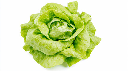 Fototapeta premium Green Lettuce Head Top View Isolated