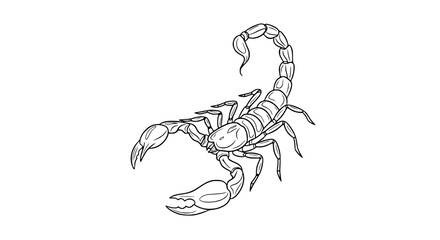 Scorpion illustration, stylized line art, white background, isolated insect drawing © Jajang
