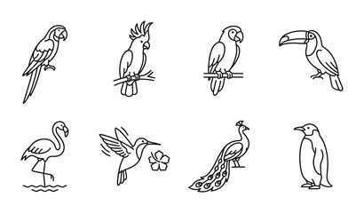 8 Tropical Birds linear icon set parrot cockatoo flamingo toucan, UI and web interface design © Bundleprohub