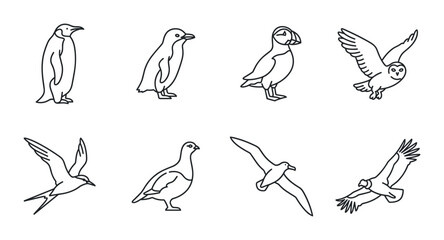 Fototapeta premium 8 Birds linear icon set penguin puffin owl swift partridge gull eagle, UI and web interface design