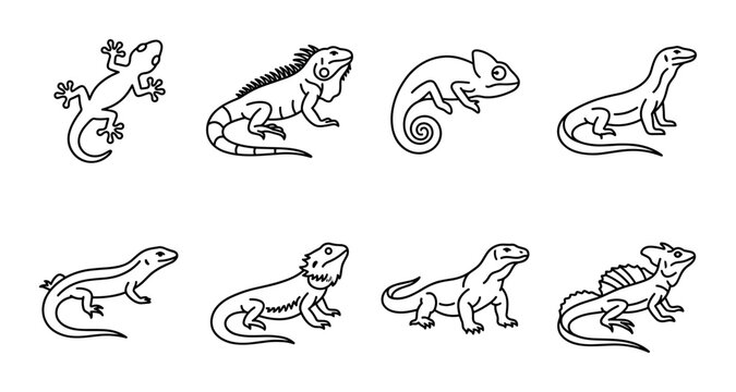 8 Reptile linear icon set lizard iguana chameleon, UI and web interface design