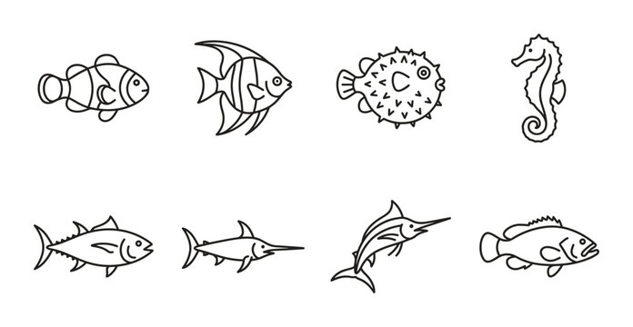 8 Marine Life linear icon set clownfish angelfish pufferfish seahorse tuna swordfish marlin bass, UI and web interface design