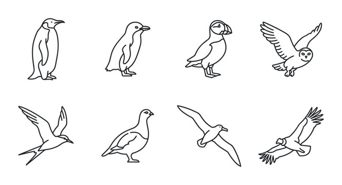 8 Birds linear icon set penguin puffin owl swift partridge gull eagle, UI and web interface design