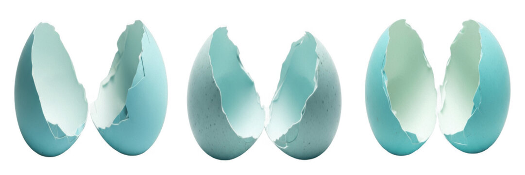 Set of broken light blue bird egg shell cracked in half isolated on transparent background symbolic spring birth new beginning element for easter and nature concepts