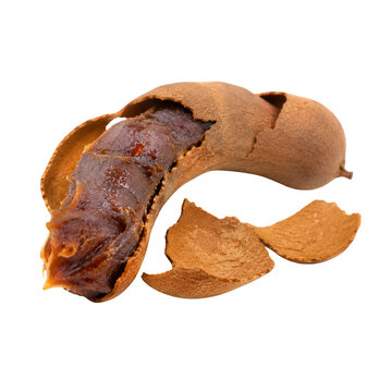 Tamarind Pod and Shell