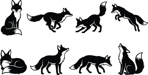 Obraz premium Set of black fox silhouettes in various poses isolated on a white background, wild animal showing running, sitting, jumping, and howling foxes