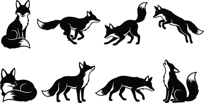 Set of black fox silhouettes in various poses isolated on a white background, wild animal showing running, sitting, jumping, and howling foxes