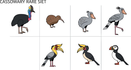 Obraz premium Rare bird illustration set featuring cassowary kiwi shoebill hornbill and puffin in flat cartoon style for wildlife design use
