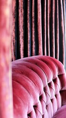 Obraz premium A plush, tufted velvet sofa in a deep rose or magenta hue with vertical striped curtains in the