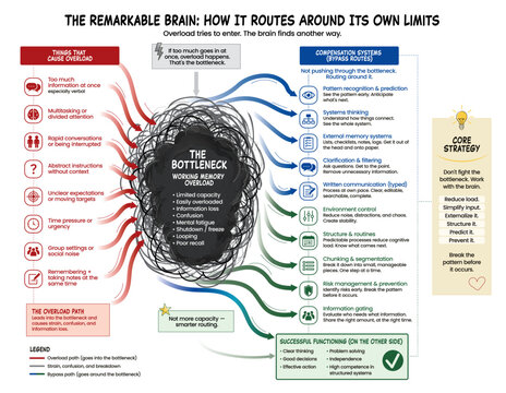 Neurodiverse brain with working memory overload. Diagram of compensation strategies like pattern recognition, structure, and chunking. Visualization for parents and counselors.