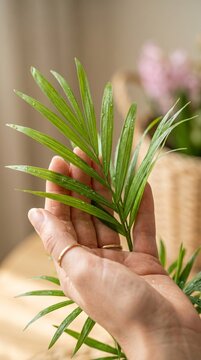 Hands Holding Fresh Green Grass Seedling in Soft Natural Light Indoor Setting