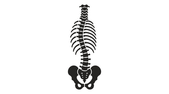 Human Spine Scoliosis Curvature Silhouette