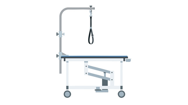 Veterinary examination table with adjustable height and grooming loop overhead