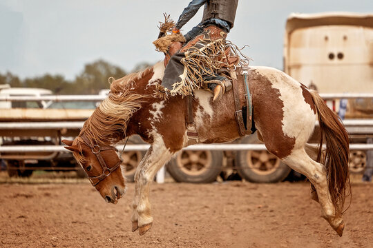 Saddle Bronc Riding At An australian Country Rodeo