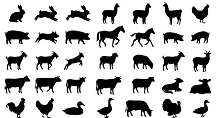 Obraz premium Farm Animal Silhouettes Vector Set with Cows Horses Chickens Ducks Goats and Pigs