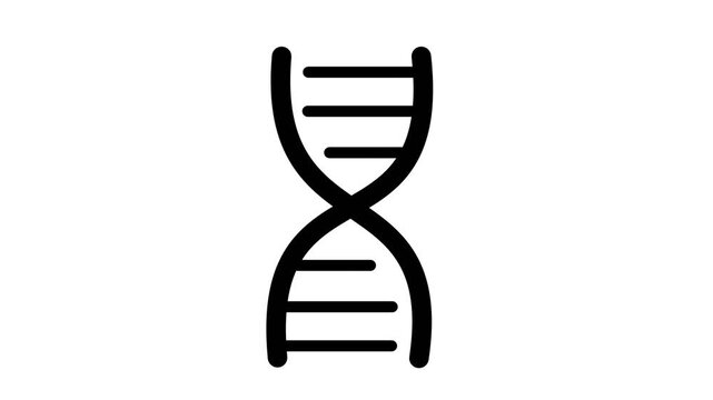 Animated black line DNA double helix structure drawing sequence on white background