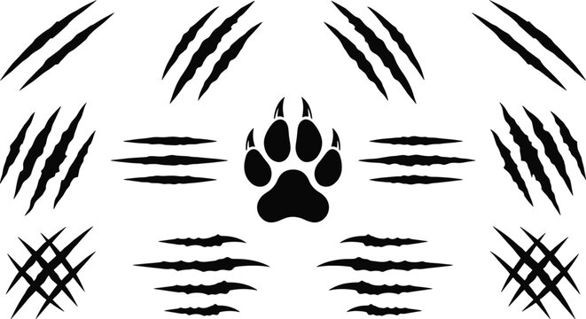 Black wild animal claw scratch marks with central wolf paw print monster slashes tear lines and beast rips silhouette vector illustration