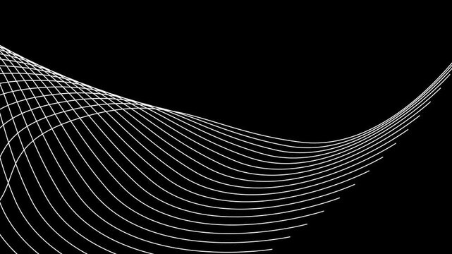 Abstract White Wavy Lines on Black Background pattern