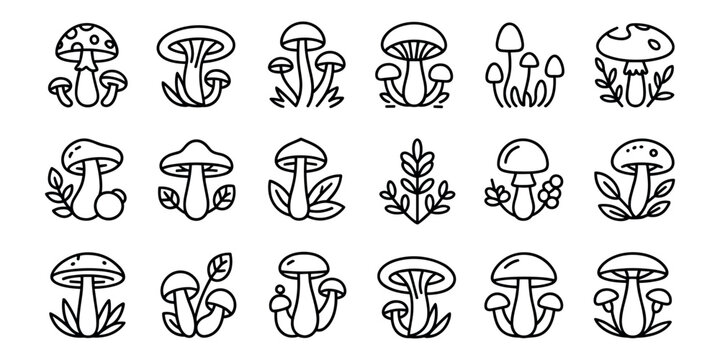 Black and white line of various mushrooms and plants line fungi leaves  in white background
